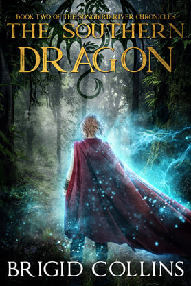 Epic fantasy book cover design, ebook kindle amazon, Brigid Collins, The Southern Dragon