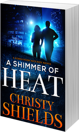 Heat, 3d render book, Christy Shields